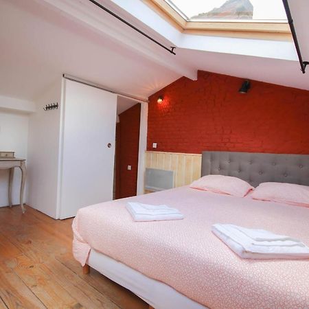 Old Lille - Superb Loft-Type Terrace! Лілль Екстер'єр фото